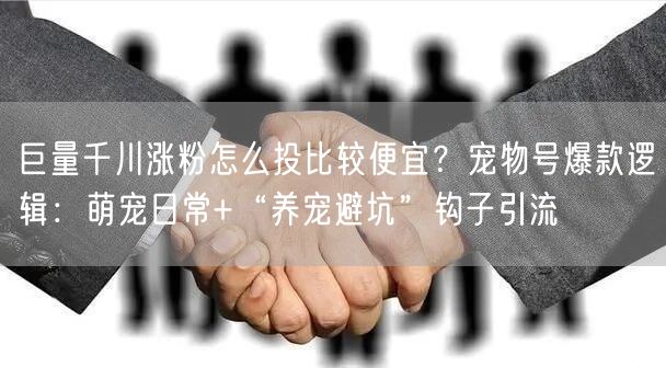 巨量千川涨粉怎么投比较便宜？宠物号爆款逻辑：萌宠日常+“养宠避坑”钩子引流