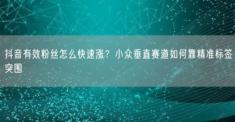 抖音有效粉丝怎么快速涨？小众垂直赛道如何靠精准标签突围