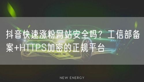 抖音快速涨粉网站安全吗？工信部备案+HTTPS加密的正规平台