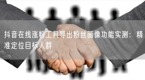 抖音在线涨粉工具导出粉丝画像功能实测：精准定位目标人群