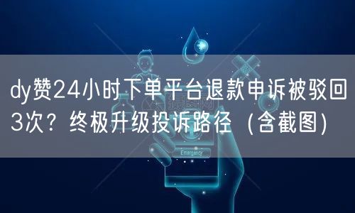 dy赞24小时下单平台退款申诉被驳回3次？终极升级投诉路径（含截图）