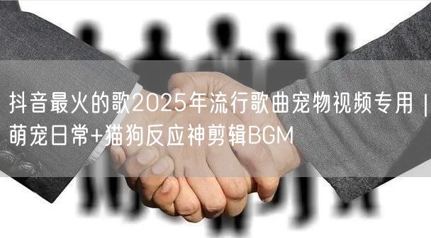 抖音最火的歌2025年流行歌曲宠物视频专用｜萌宠日常+猫狗反应神剪辑BGM